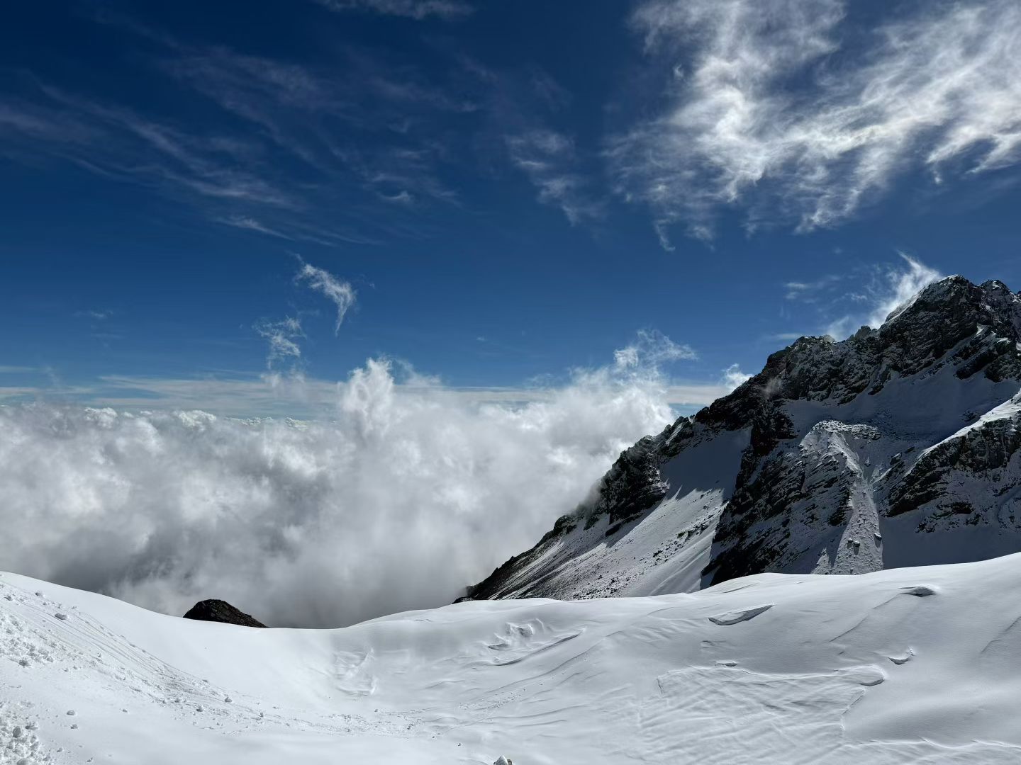 1763118516987546.jpg e3726f54a2275b37978c2e7d7eb10739.jpg