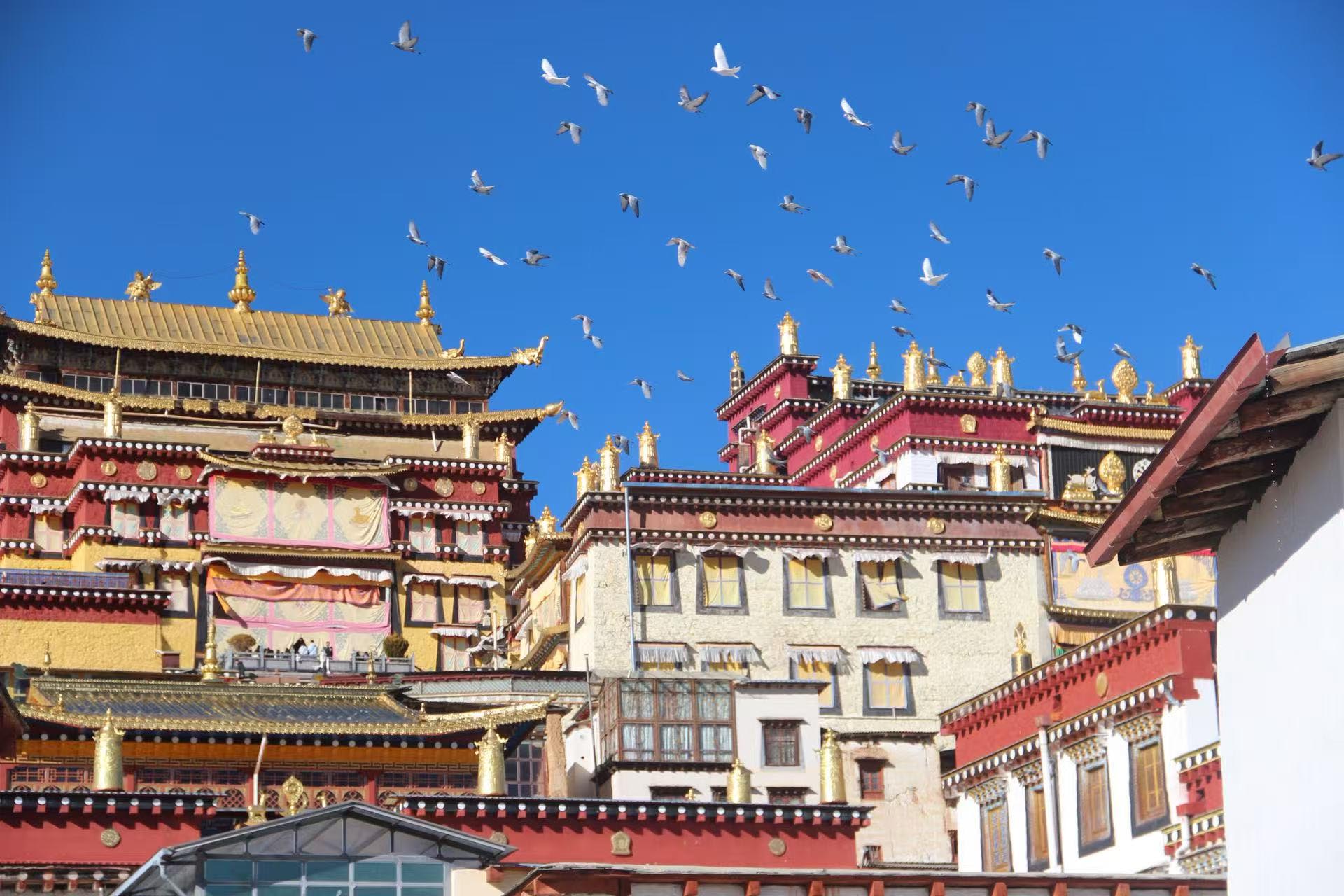 1763119463407276.jpg 2.jpg