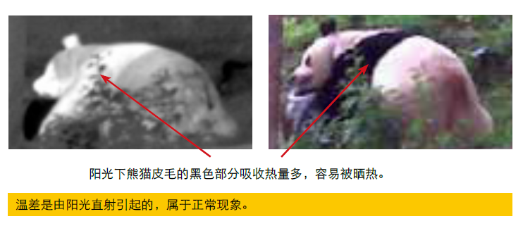 1770196633152833.png 2.png